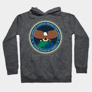 All-Domain Anomaly Resolution Office (AARO) Insignia Hoodie